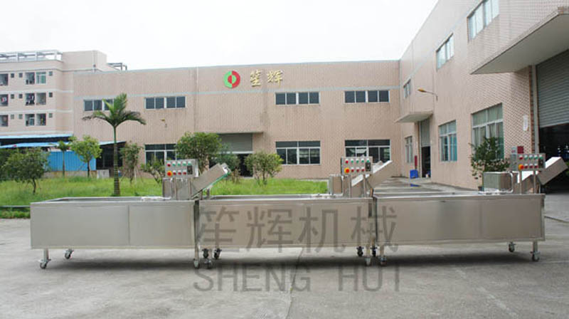 Continuous vegetable washing machine for customers in South Africa 1