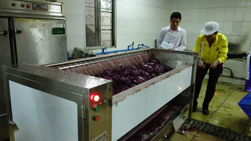 Our company supplies peeling and cutting equipment for a Korean company