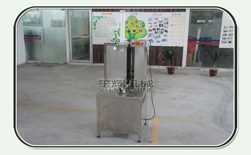 vegetable peeler machine