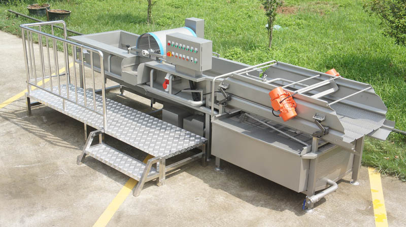 vegetable sanitizer machine