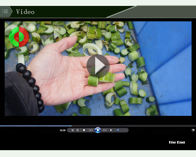 easy vegetable cutter