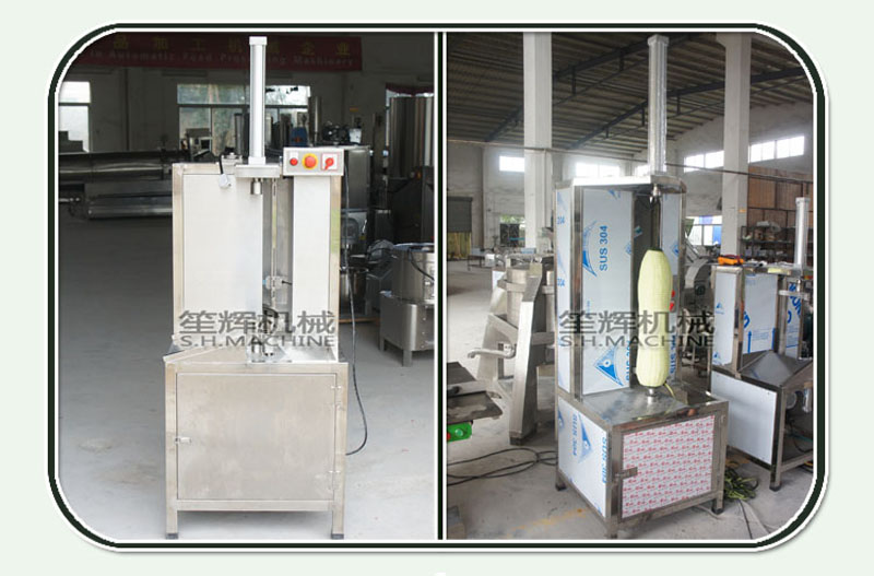 food peeling machine