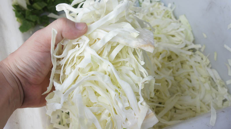 onion cutting machine