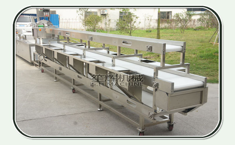 fruit cutting machine