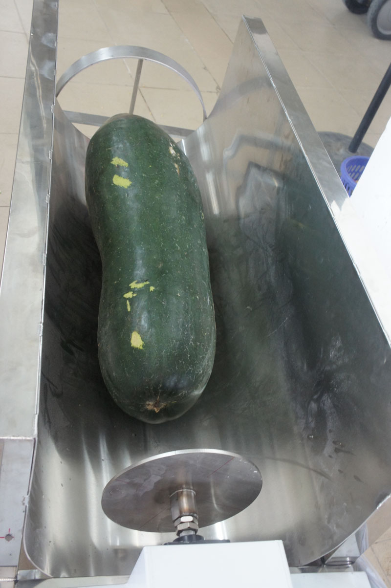 carrot cutting machine