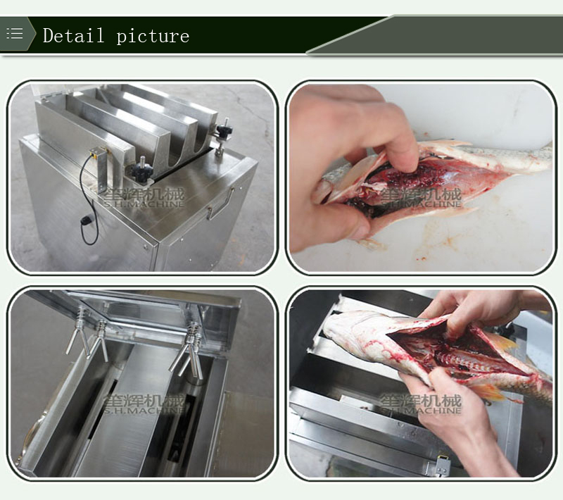 fish gutting machine