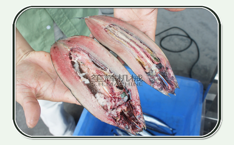 fish fillet machine
