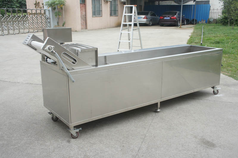 lettuce cleaning machine