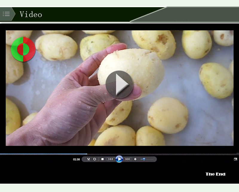 swiss vegetable peeler