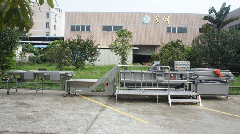 What should I pay attention to when purchasing a vegetable washing machine 1