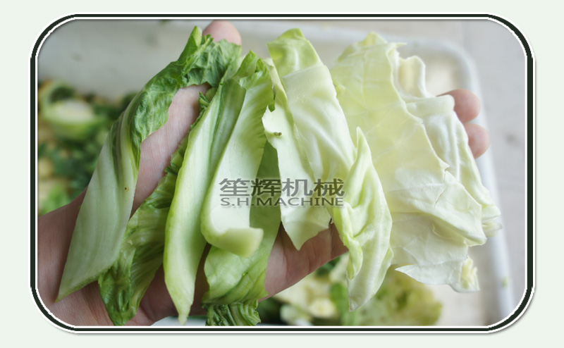 Shenghui vegetable cutter online 1