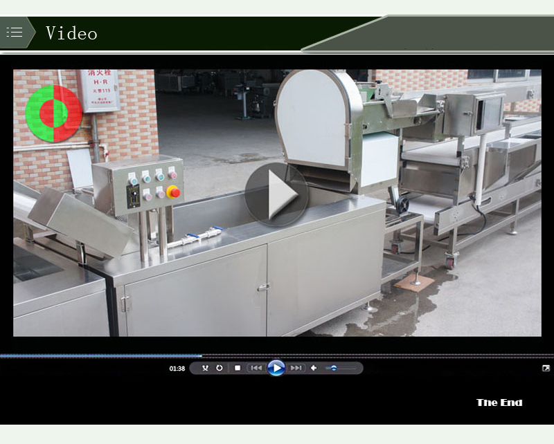 carrot processing equipment