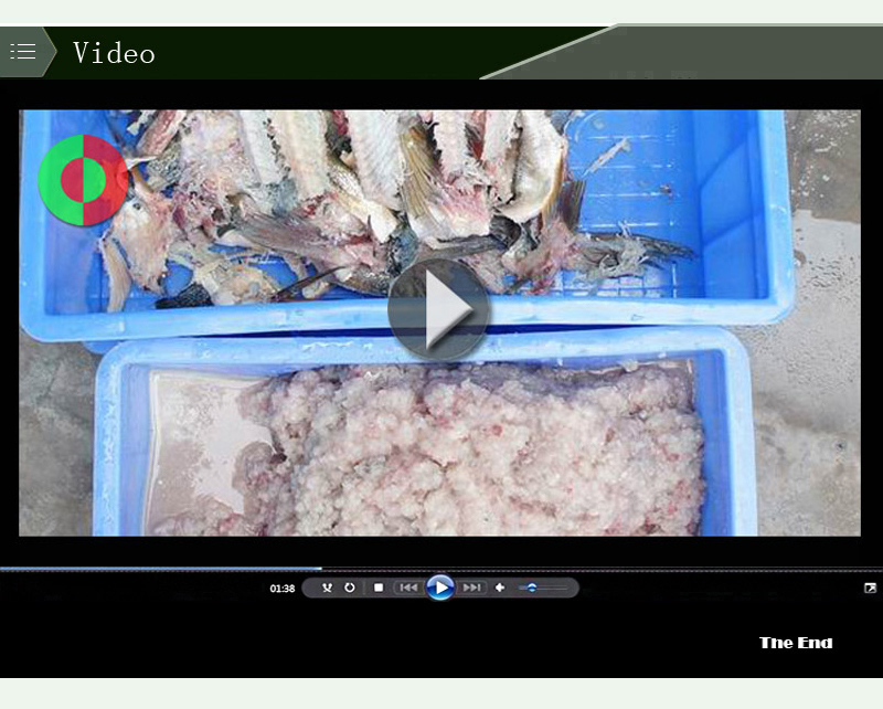 fish deboning machine