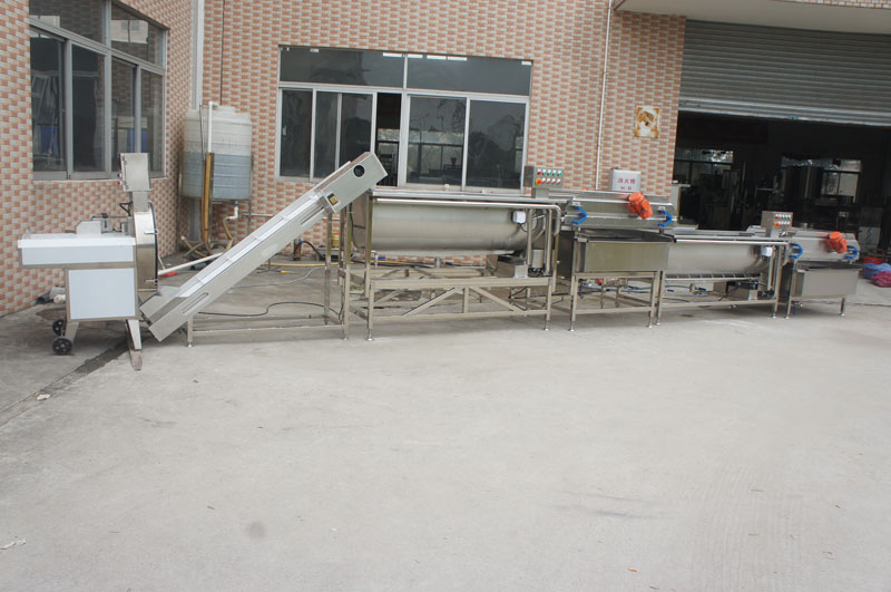 What should I pay attention to when purchasing a vegetable washing machine