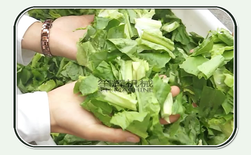 dehydrated veggie chips