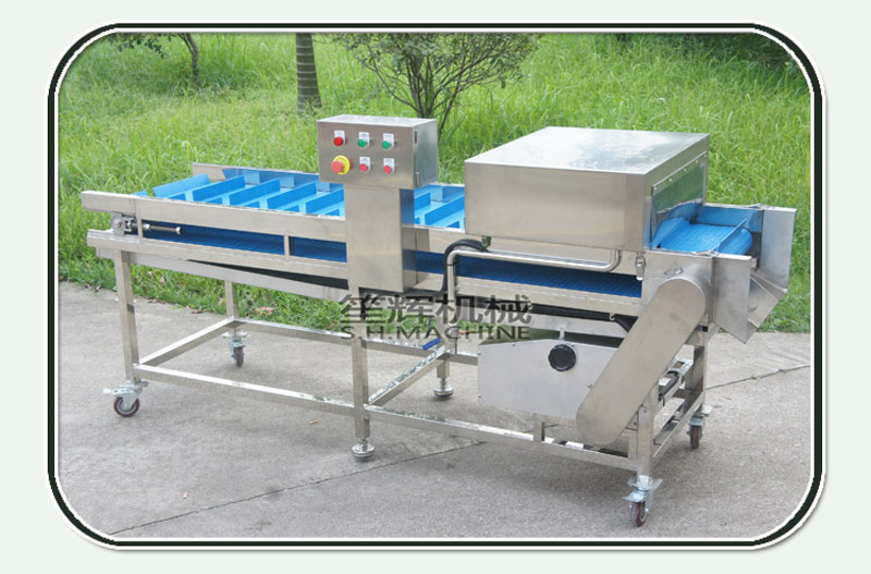 food fish processing