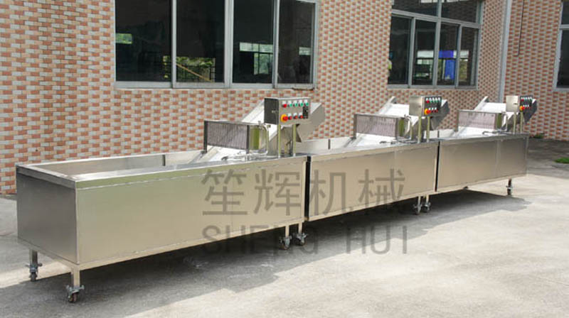 Continuous vegetable washing machine for customers in South Africa 2