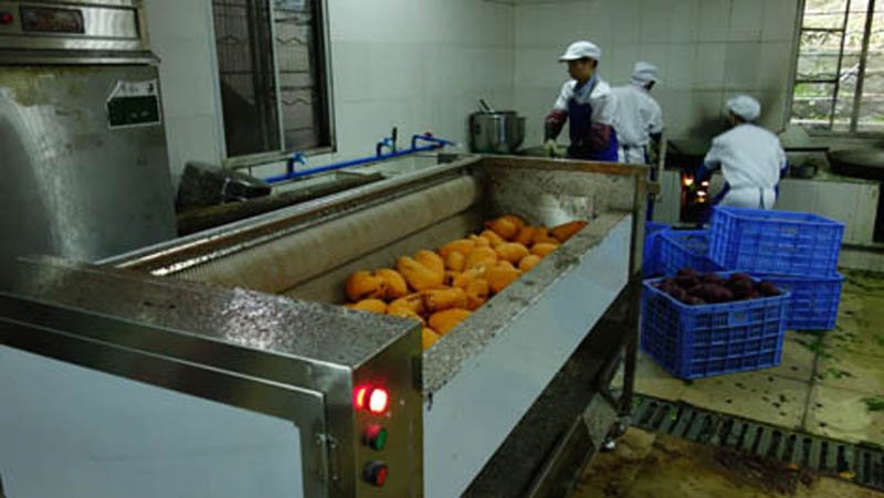 Our company supplies peeling and cutting equipment for a Korean company 2