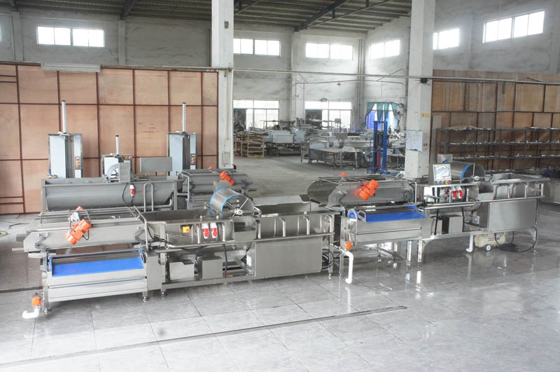 fruit washer machine price