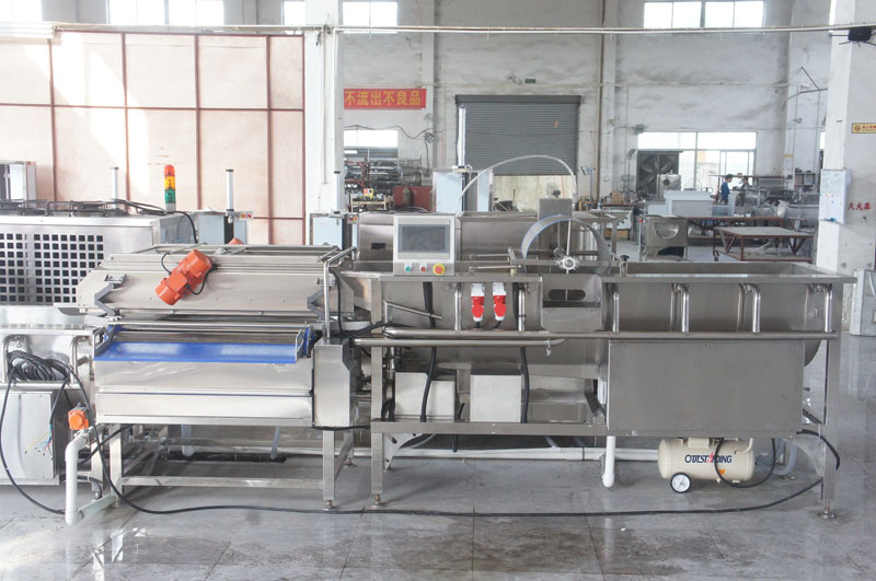 Industrial vortex ozone fruit & vegetable wash machine