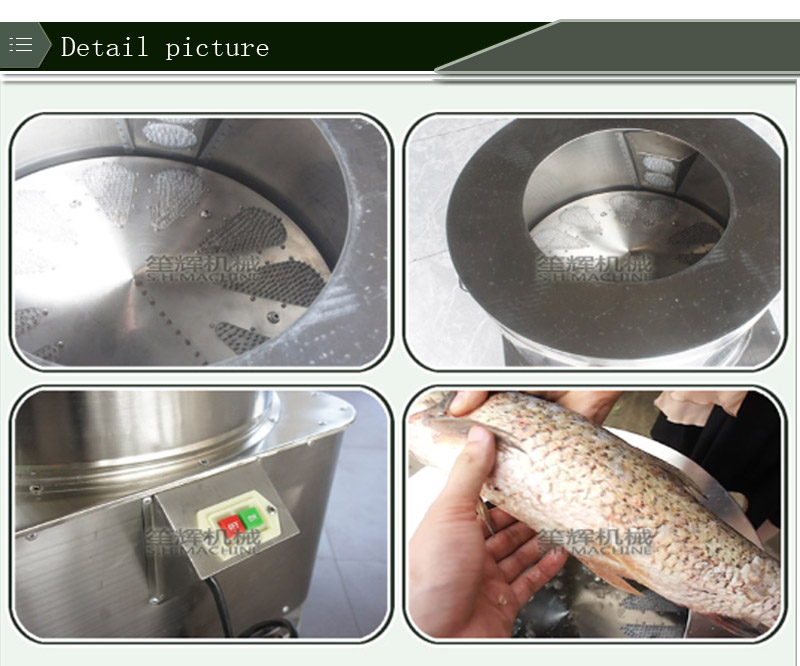 automatic fish scaler