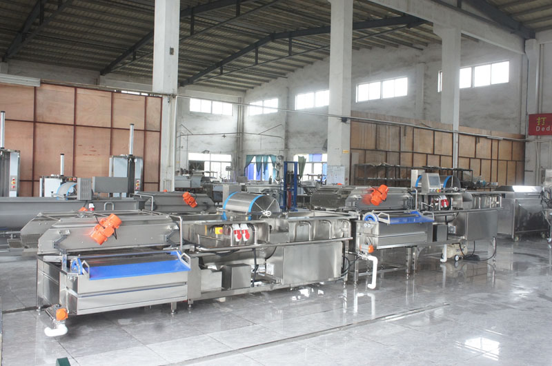 vegetable fruit washing machine