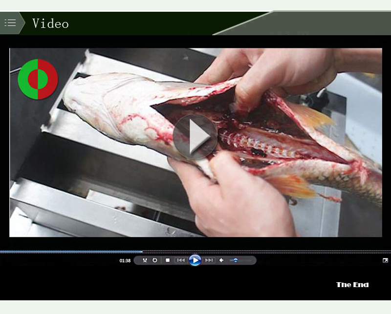 fish descaling machine