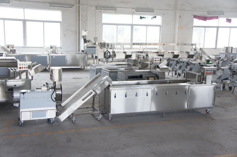 fruit and vegetable processing equipment