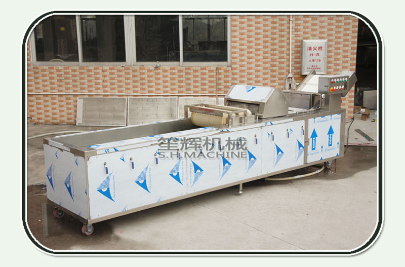 commercial vegetable washer