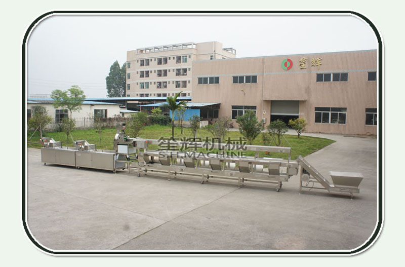 fruit and vegetable processing industry