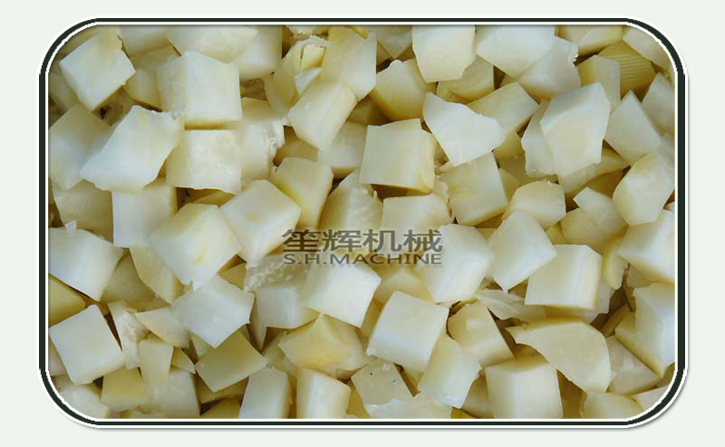 vegetable dicer machine 1