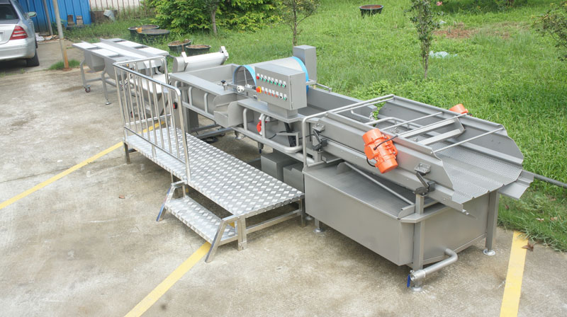 What should I pay attention to when purchasing a vegetable washing machine 3