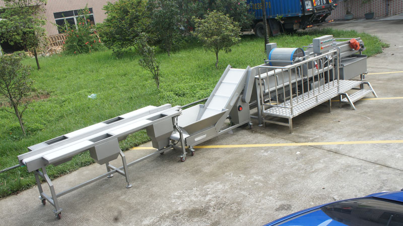 What should I pay attention to when purchasing a vegetable washing machine 2