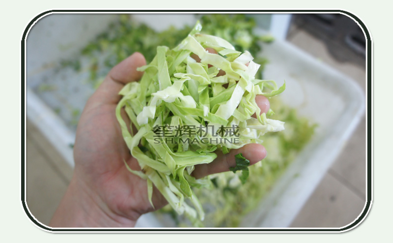 Shenghui vegetable cutter online