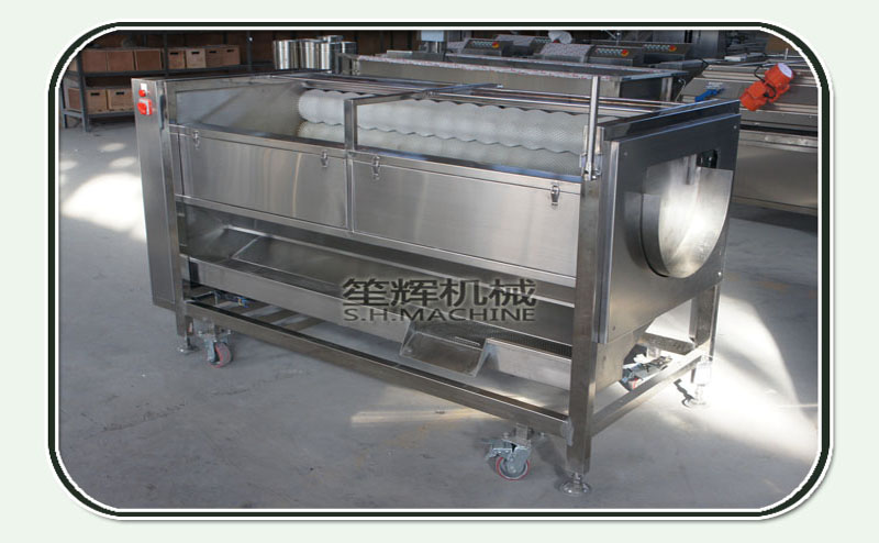 fruit peeler machine