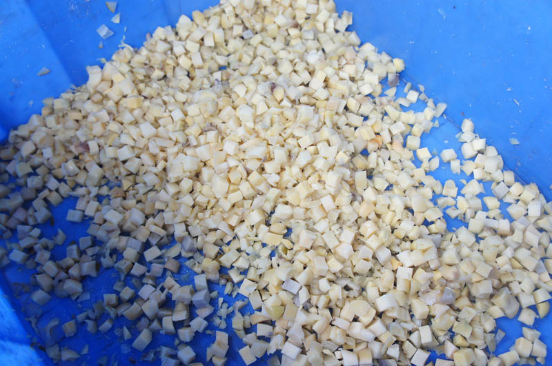 veg and fruit cutter