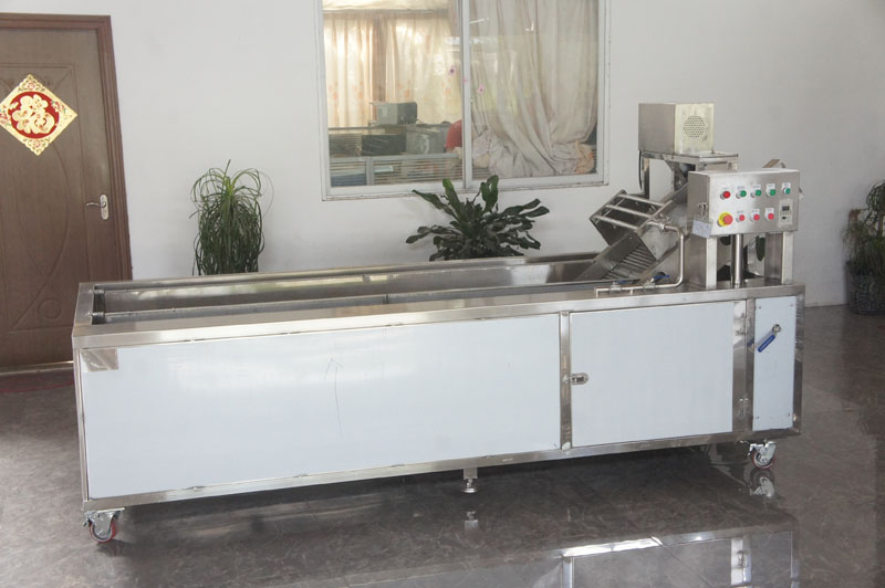 How to choose a vegetable washing machine