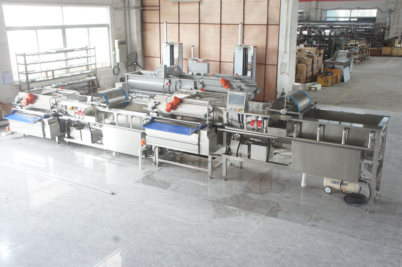 vegetable cleaning machine