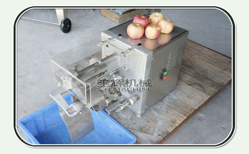 apple fruit peeler