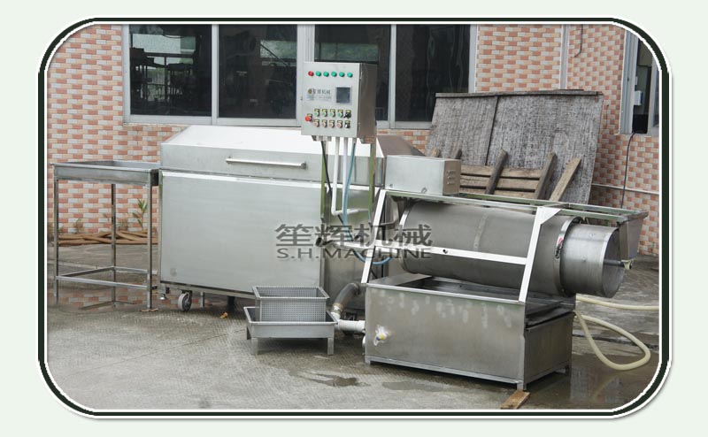 fish descaling machine