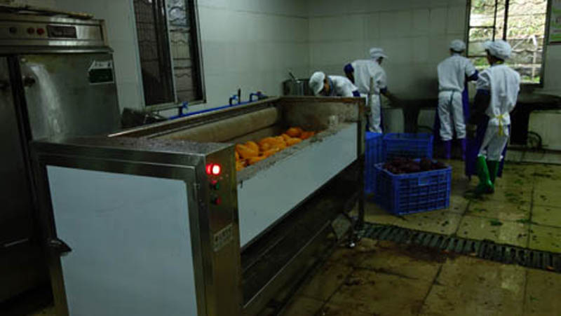 Our company supplies peeling and cutting equipment for a Korean company 3