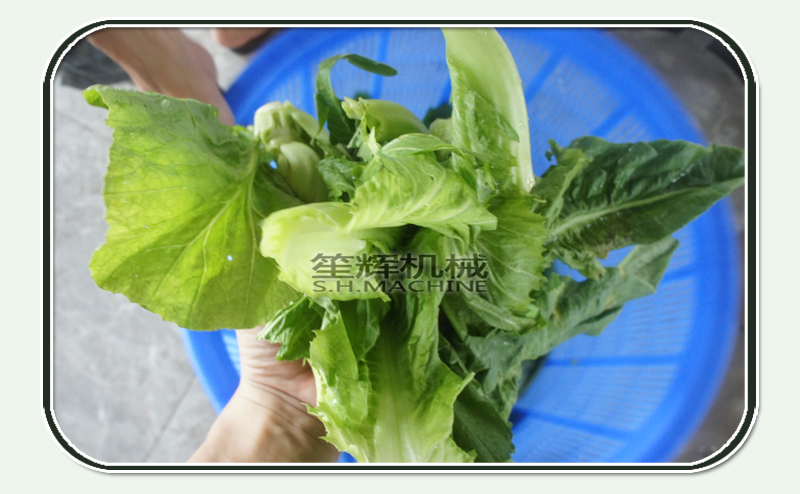 dehydrated food companies