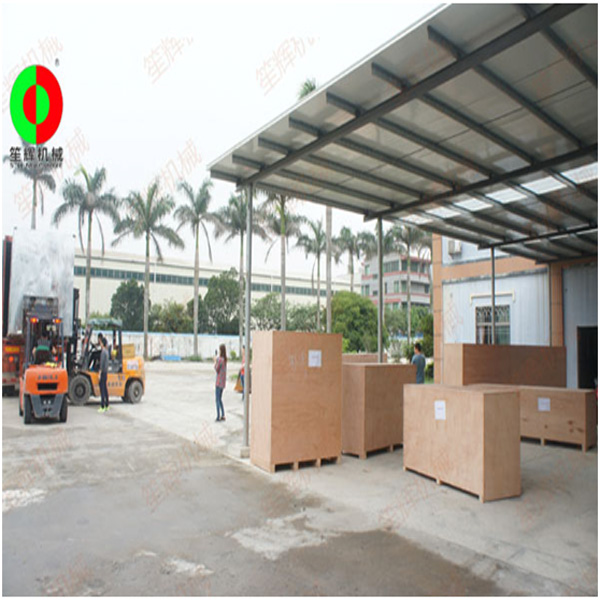 vegetable processing equipment