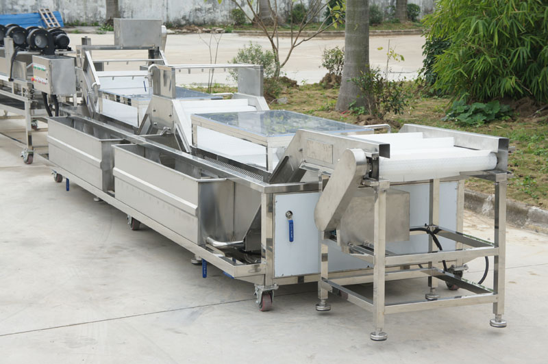 automatic fruit and vegetable washer