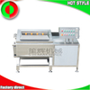 Multifunctional bubble ozone vegetable cleaning machine