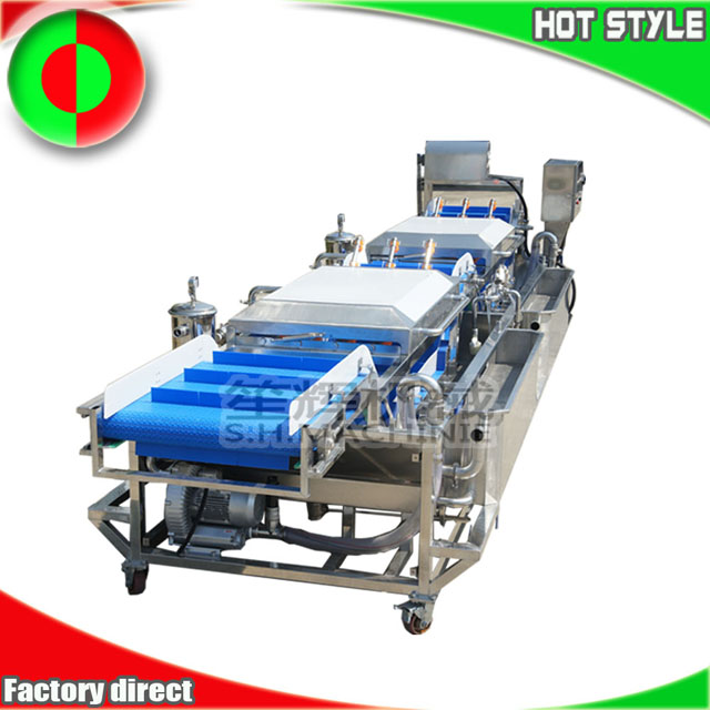 Commercial customized vegetable cleaning machine celery salad non-destructive lifting spray fruit bubble washing machine food machinery