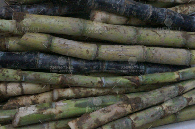 brush sugarcane cleaner