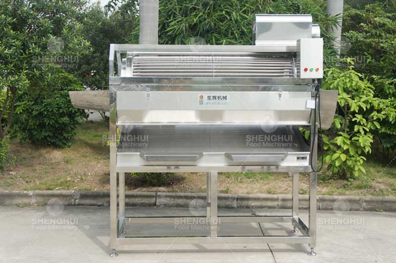 fish sorting machine
