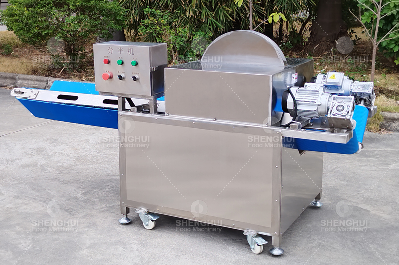 vegetable cutter (2)