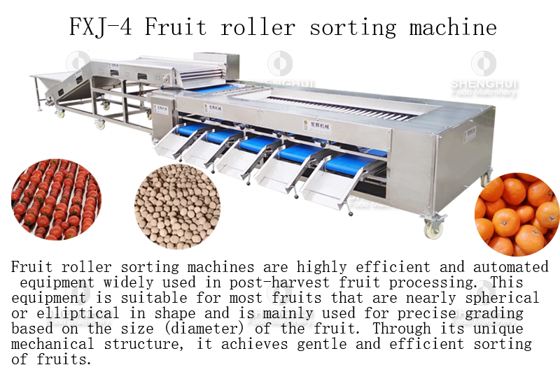 fruit sorting equipment